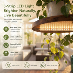 VonDream grow light mounted above tiers providing balanced plant light