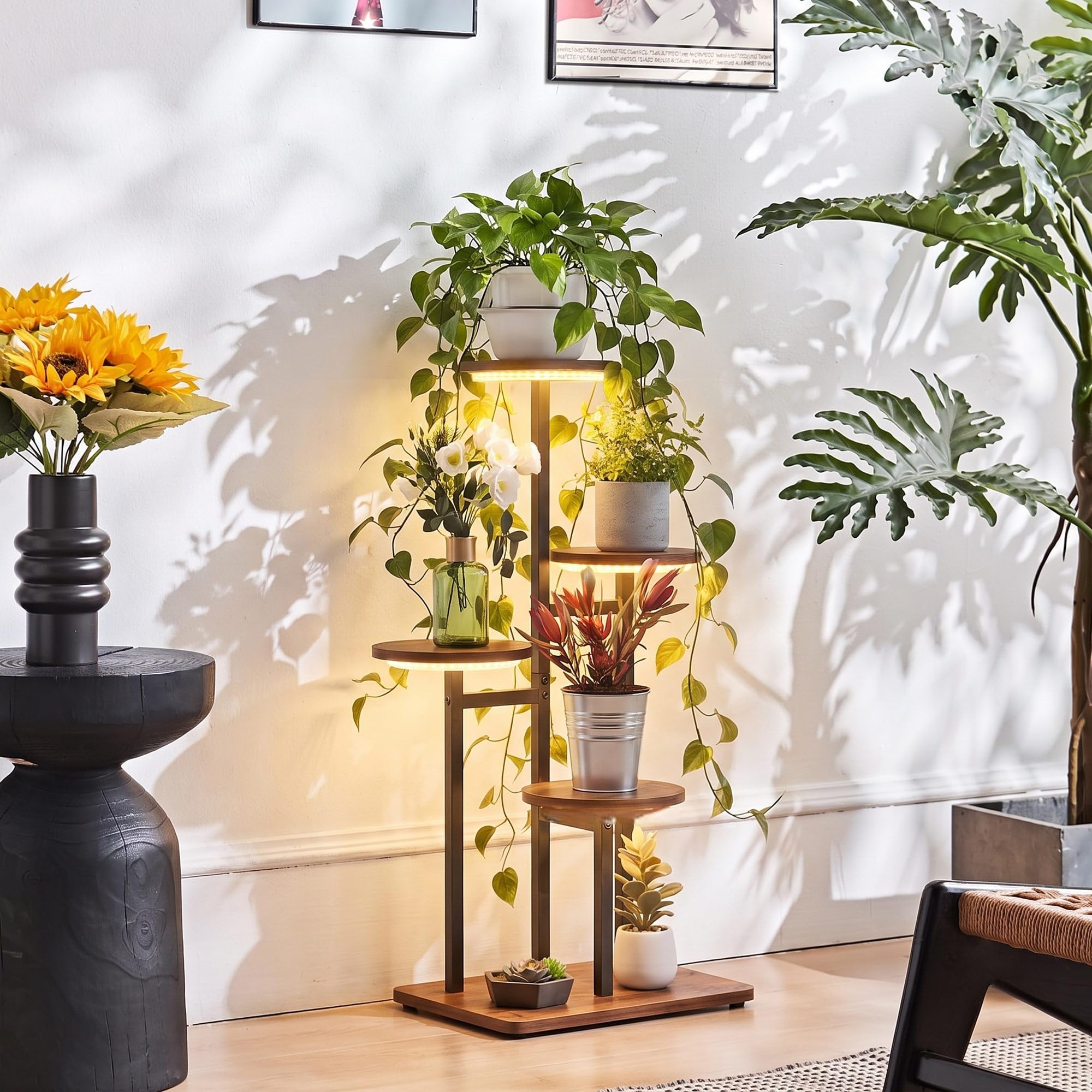VonDream in living room styled with plants showing decorative appeal