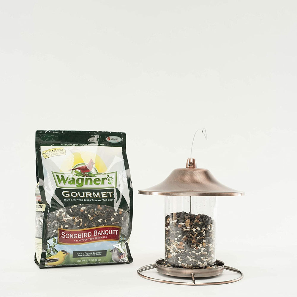 Wagner's backyard scene with multiple songbirds on a feeder illustrating improved yard activity