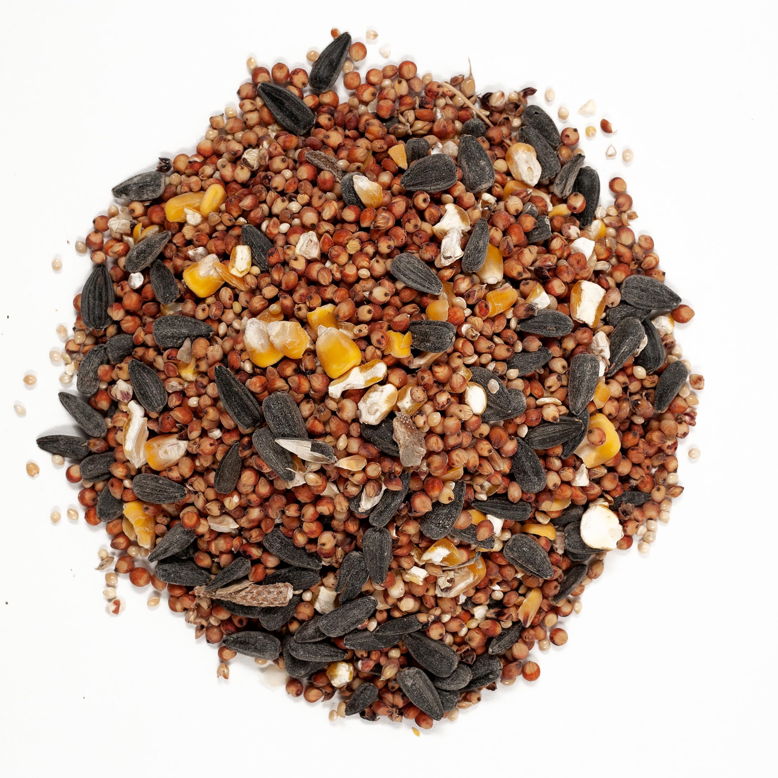 Wagner's sunflower kernels detail demonstrating energy-rich pieces birds enjoy