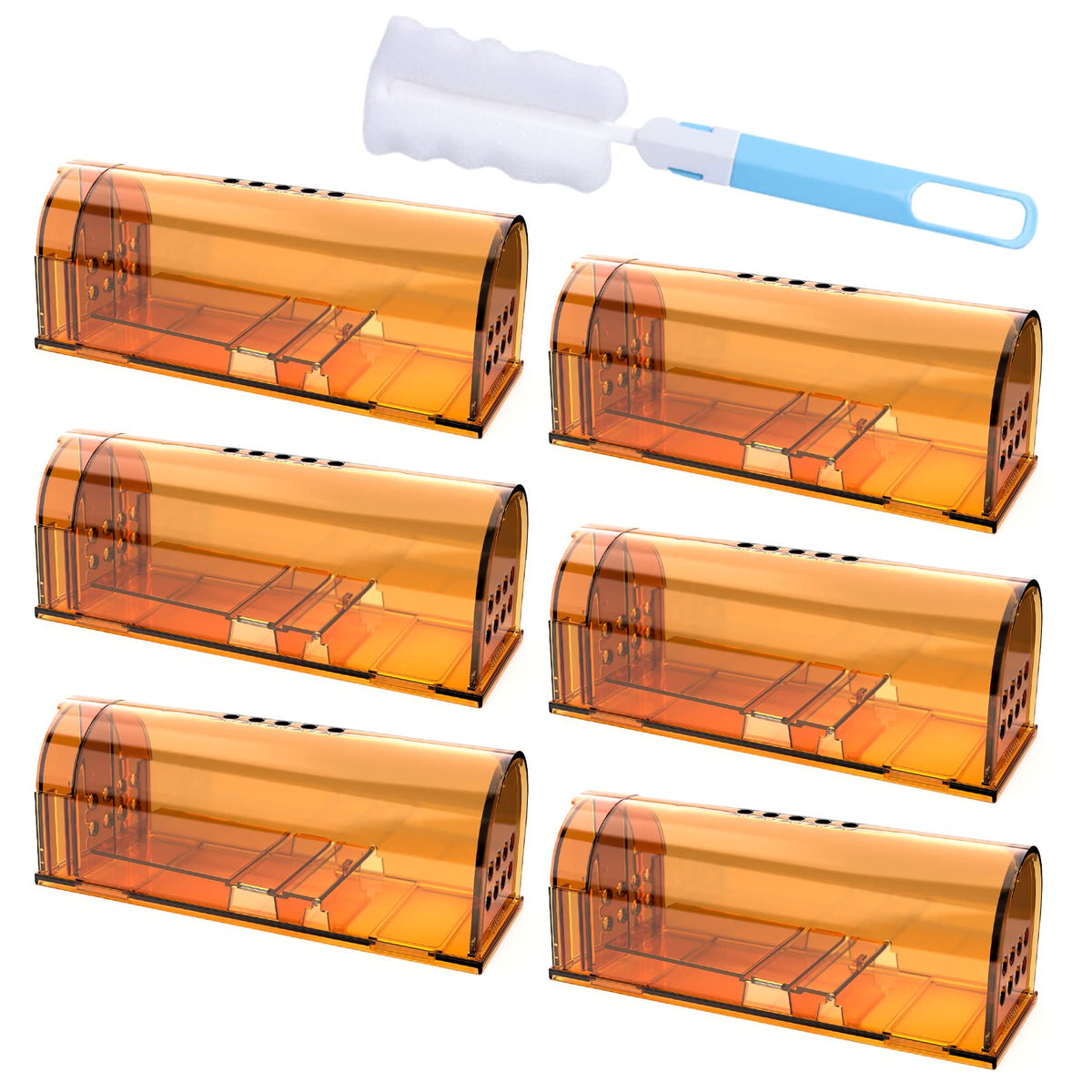 Wanqueen front view showing six traps and clear packaging for quick setup
