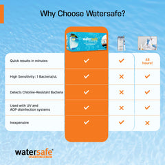 Watersafe close-up of test strip tip displaying sensitive detection elements for clarity
