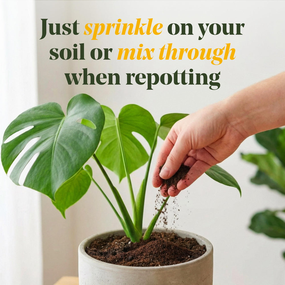 We the Wild mixed into potting soil during repotting for even nutrition