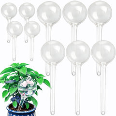 Wellinc 10-piece globes arranged on table showing full set and variety, easy plant care