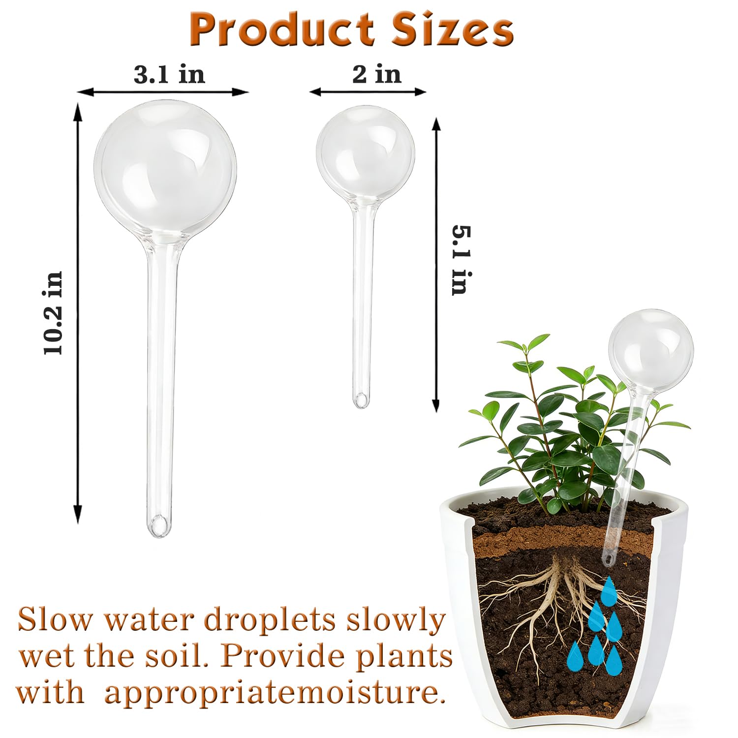 Wellinc globes next to a ruler showing scale to choose the right size for pots