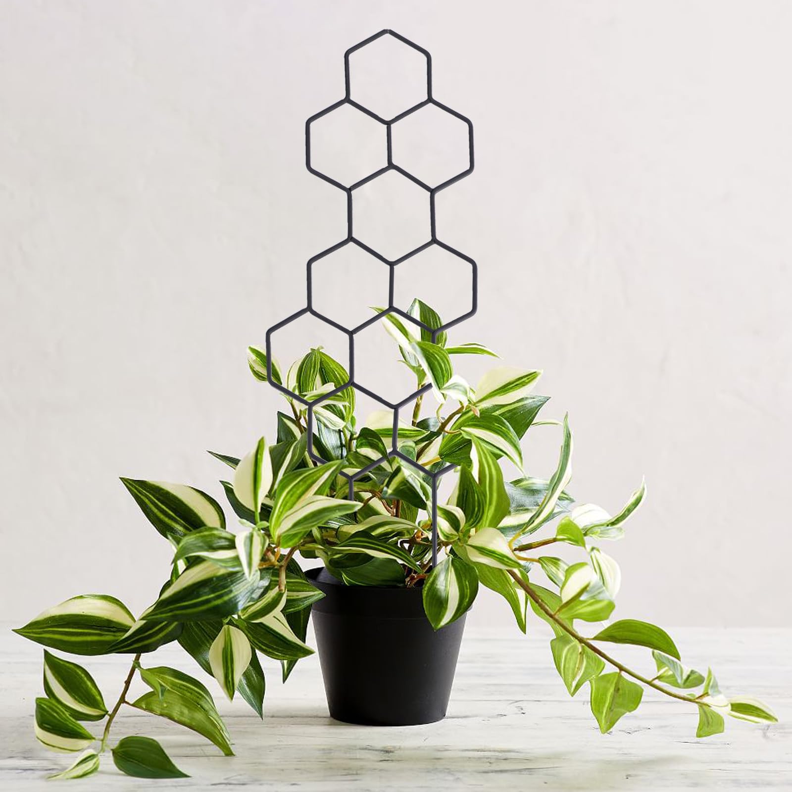 WellSign bundle with 100 ties included for flexible plant training