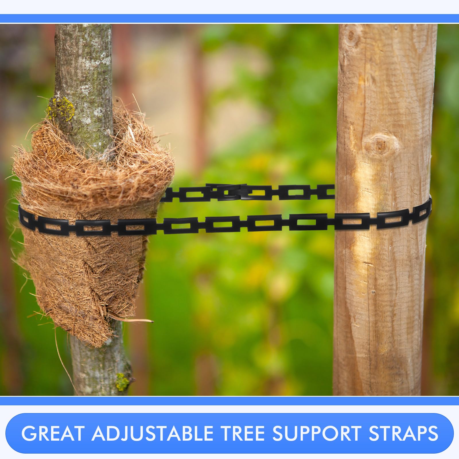 Wesiti straps securing a young tree to stakes demonstrating trunk protection