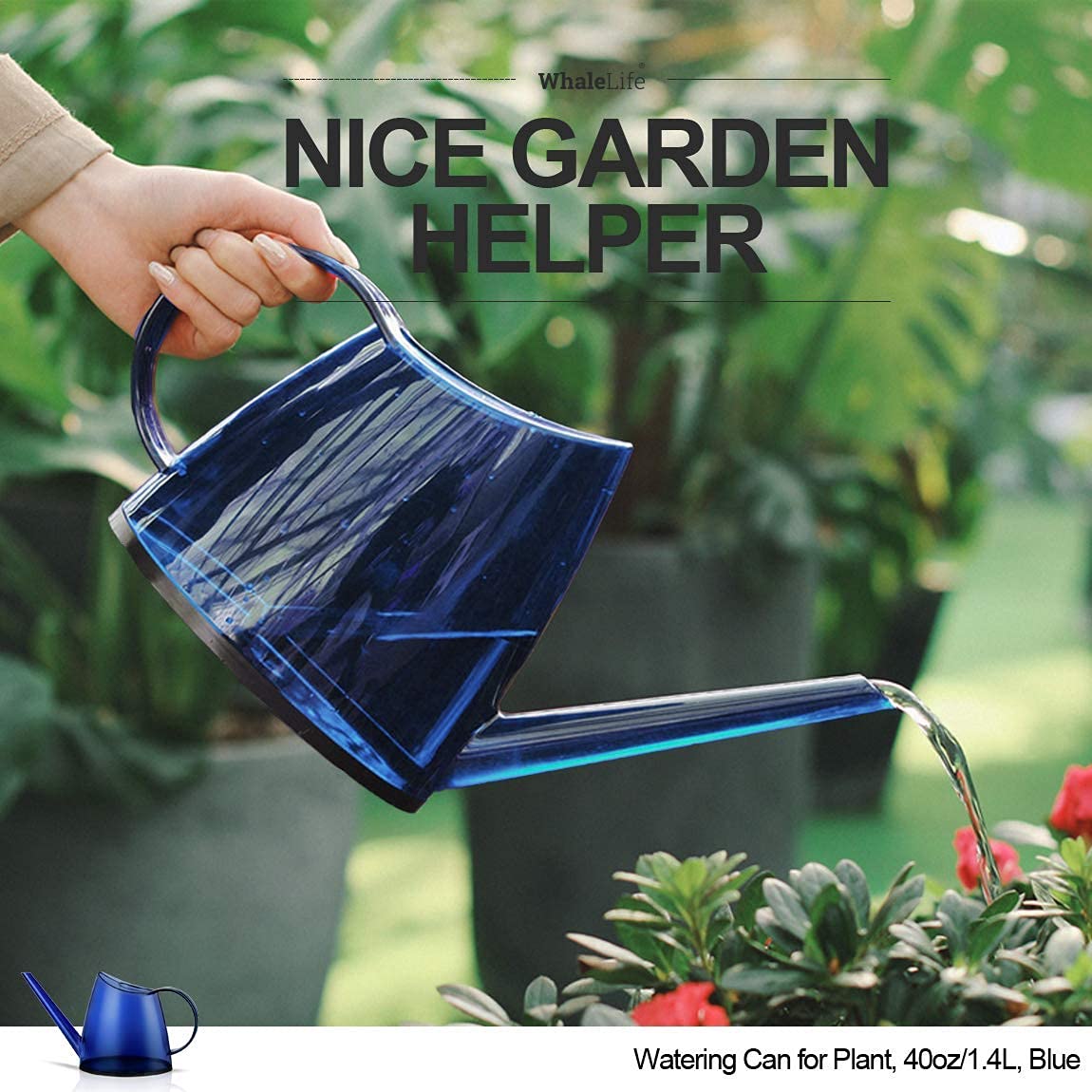 WhaleLife watering a succulent demonstrating targeted delivery to soil