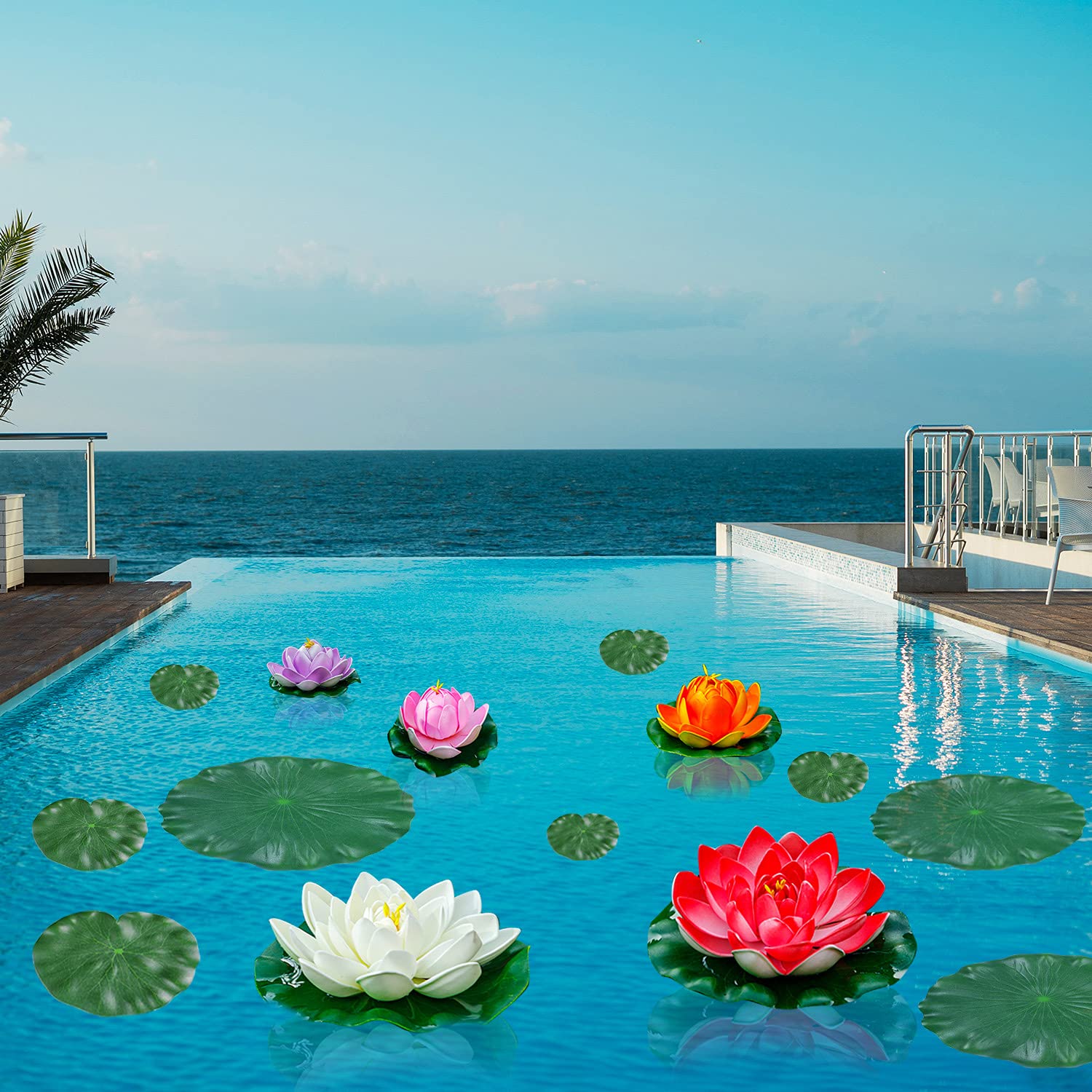 WhistenFla on pool surface attracting fish and enhancing ambiance