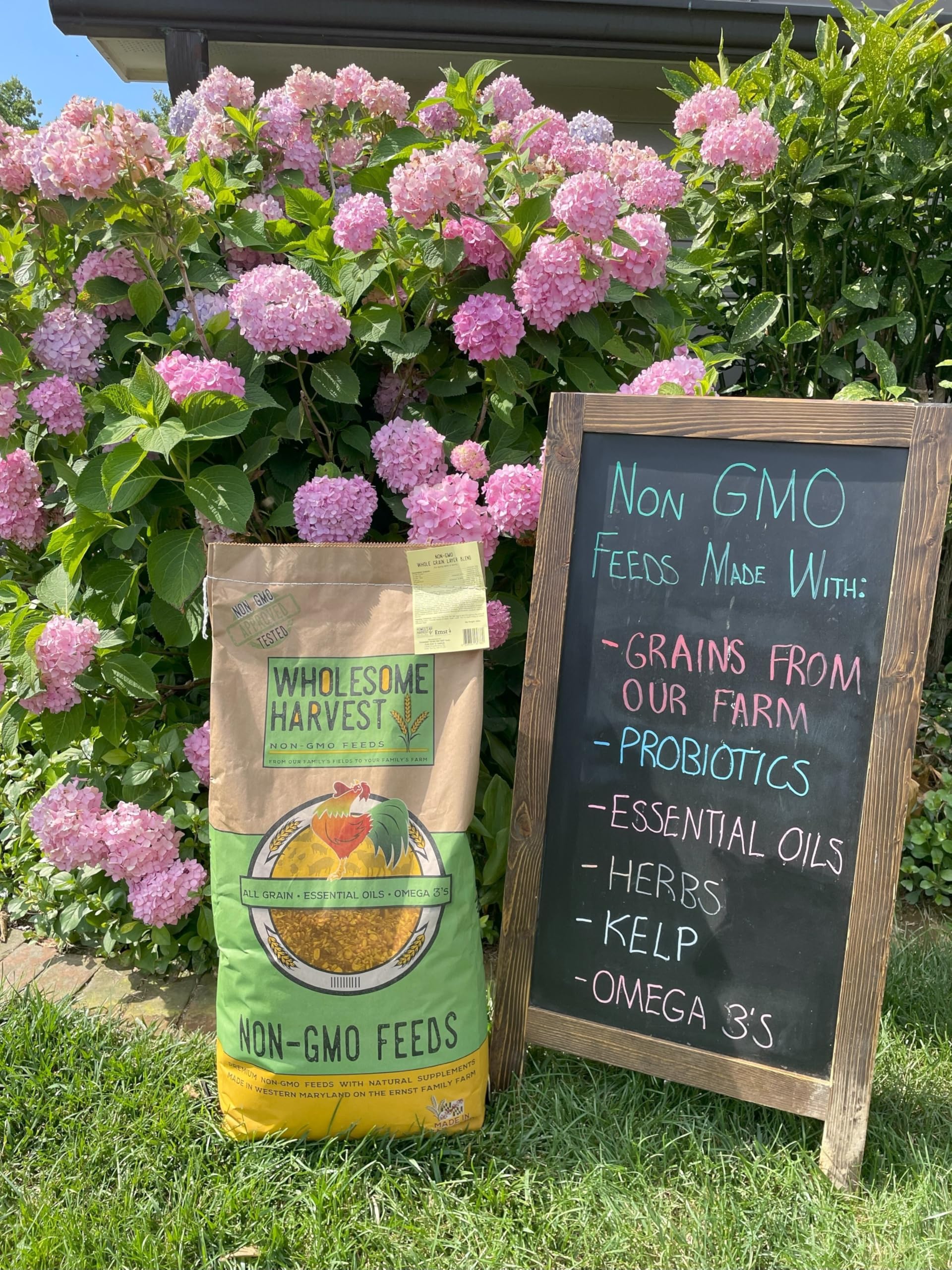 Wholesome Harvest ingredient list detail displaying natural grain sources and additives