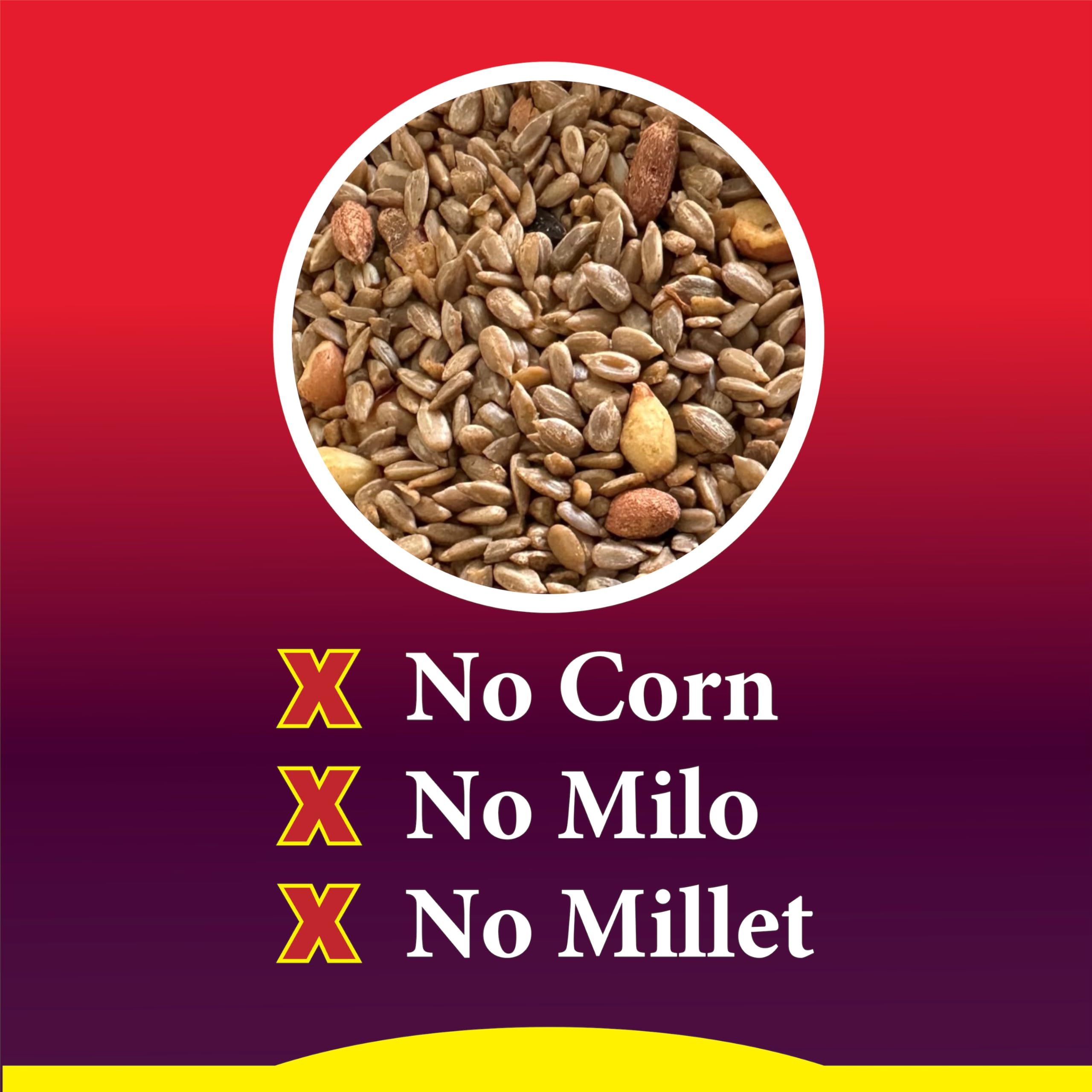 Wild Delight bag beside hand to show 5 lb size and easy handling