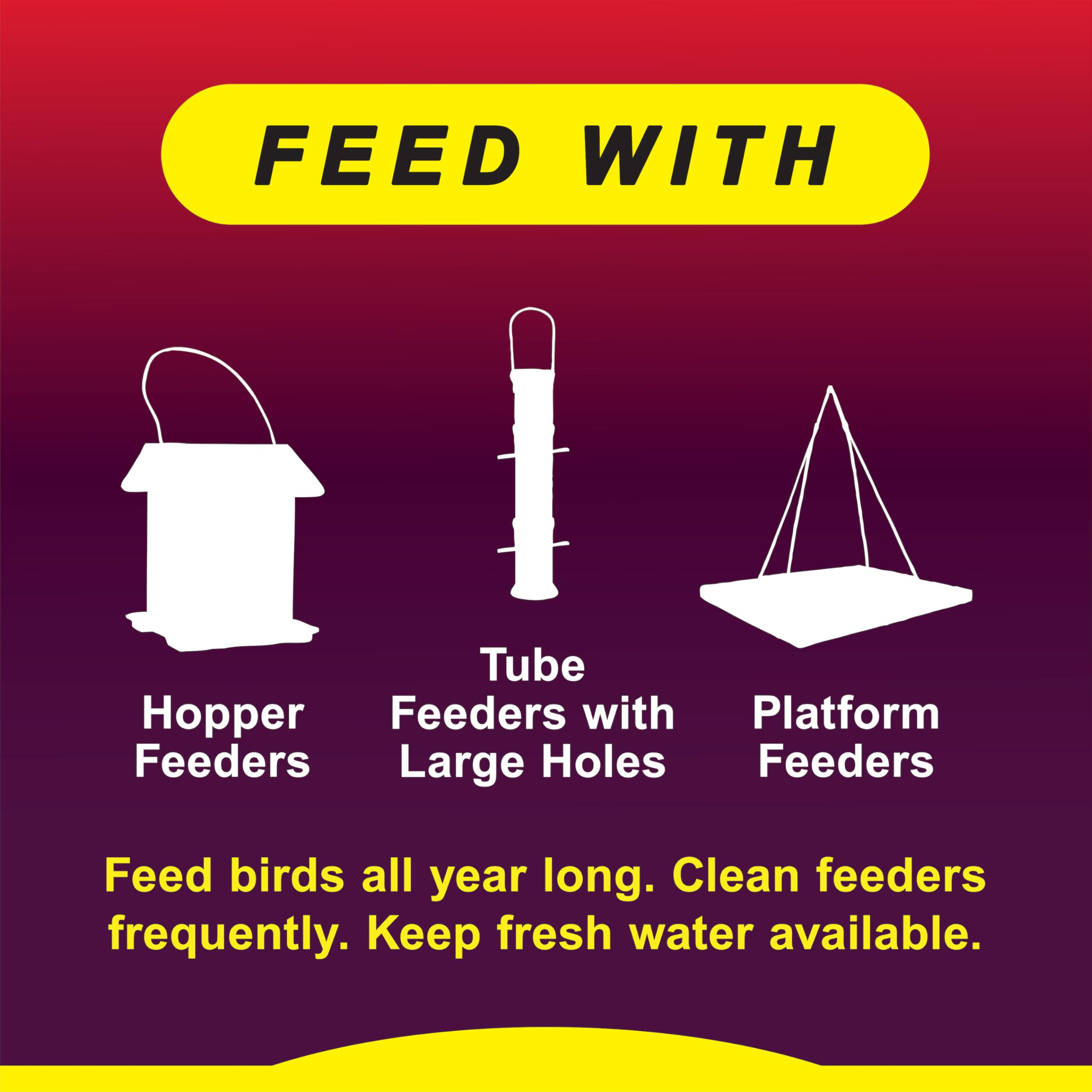 Wild Delight pouring seed into feeder demonstrating easy refill