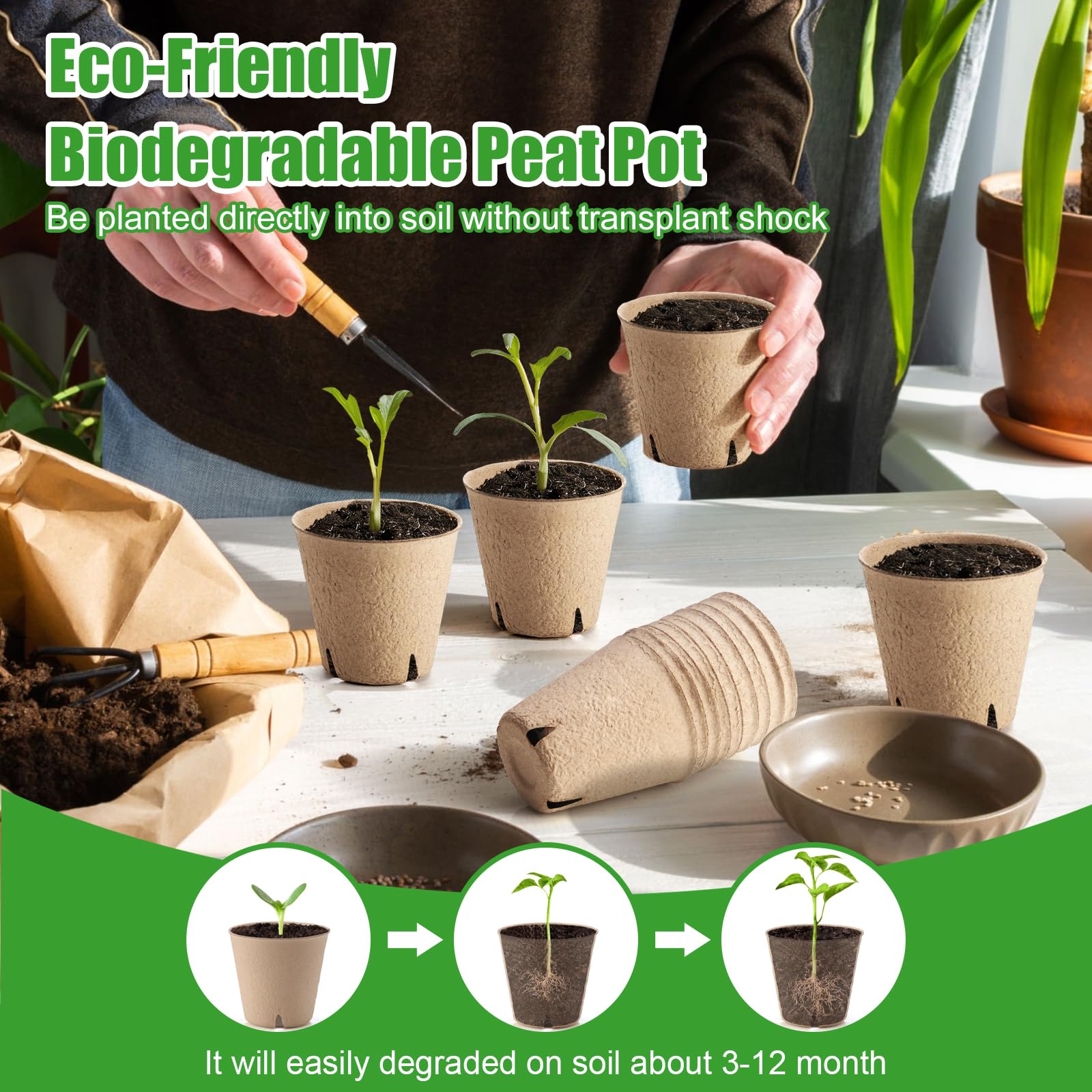 WinJiaYao pots with seedlings in use illustrating easy indoor propagation