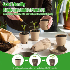 WinJiaYao pots with seedlings in use illustrating easy indoor propagation