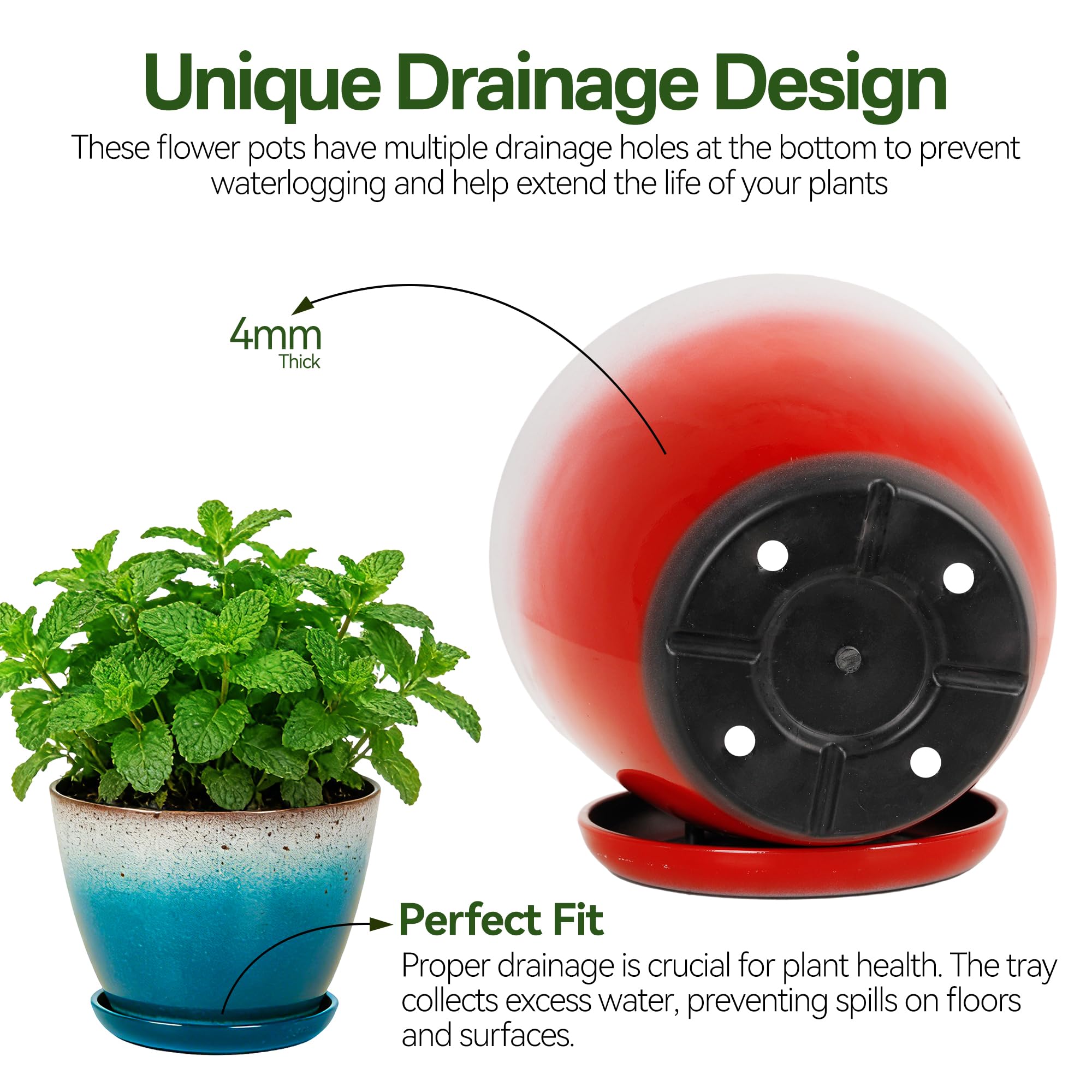 Worth pots with herbs on a kitchen windowsill illustrating accessibility and fresh cooking benefits