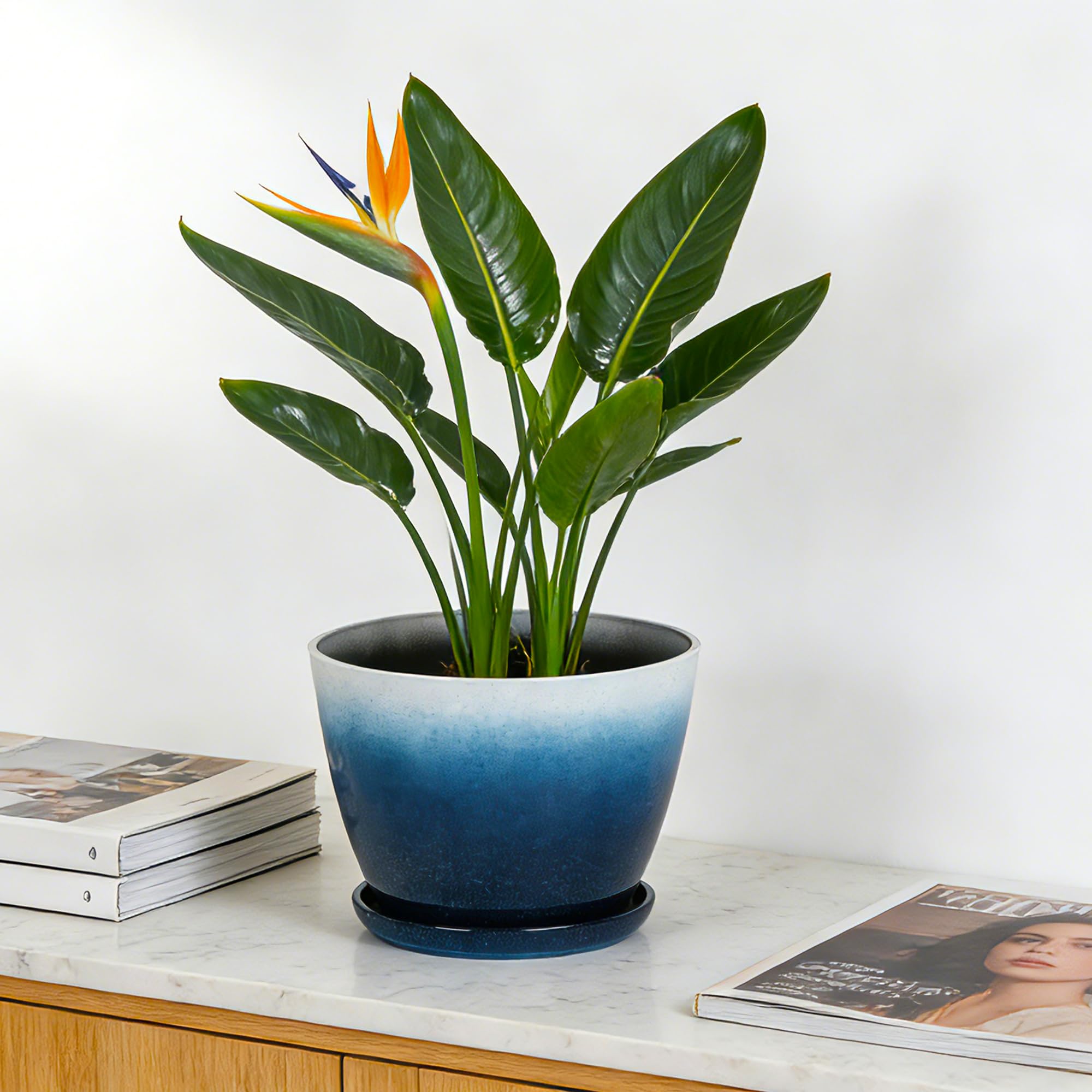 Worth stacked empty pots demonstrating compact storage and space-saving benefit