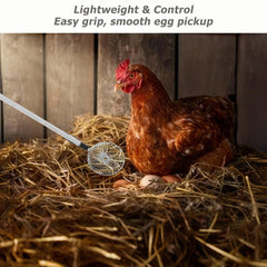 woyoo tool picking up an egg in a coop demonstrating easier collection
