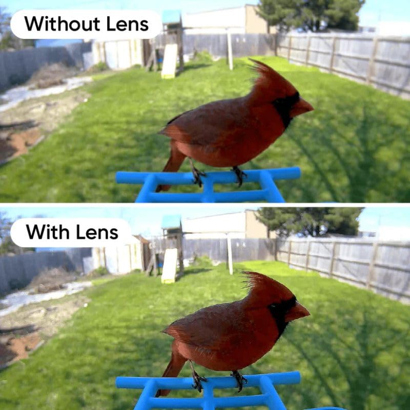 Wyze lens on outdoor camera in garden showing discreet wildlife-friendly benefit