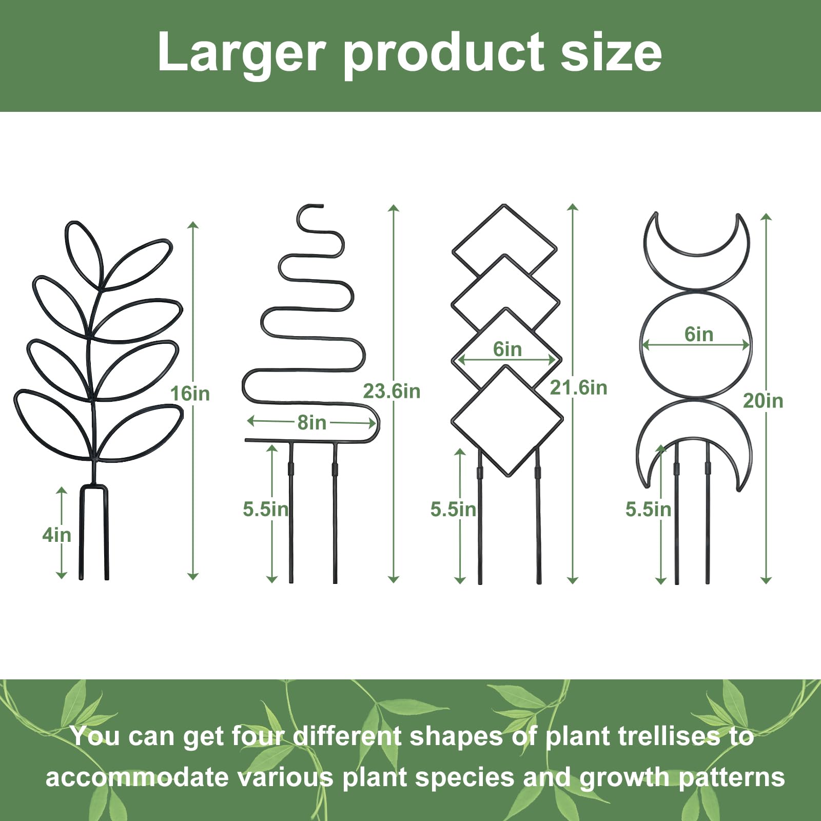 Xeeol trellis next to ruler showing 23 inch height and sizing clarity