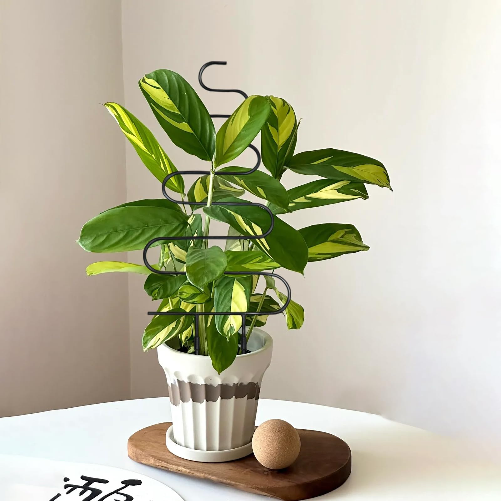 Xeeol shelf lifestyle with potted plants showing space-saving display