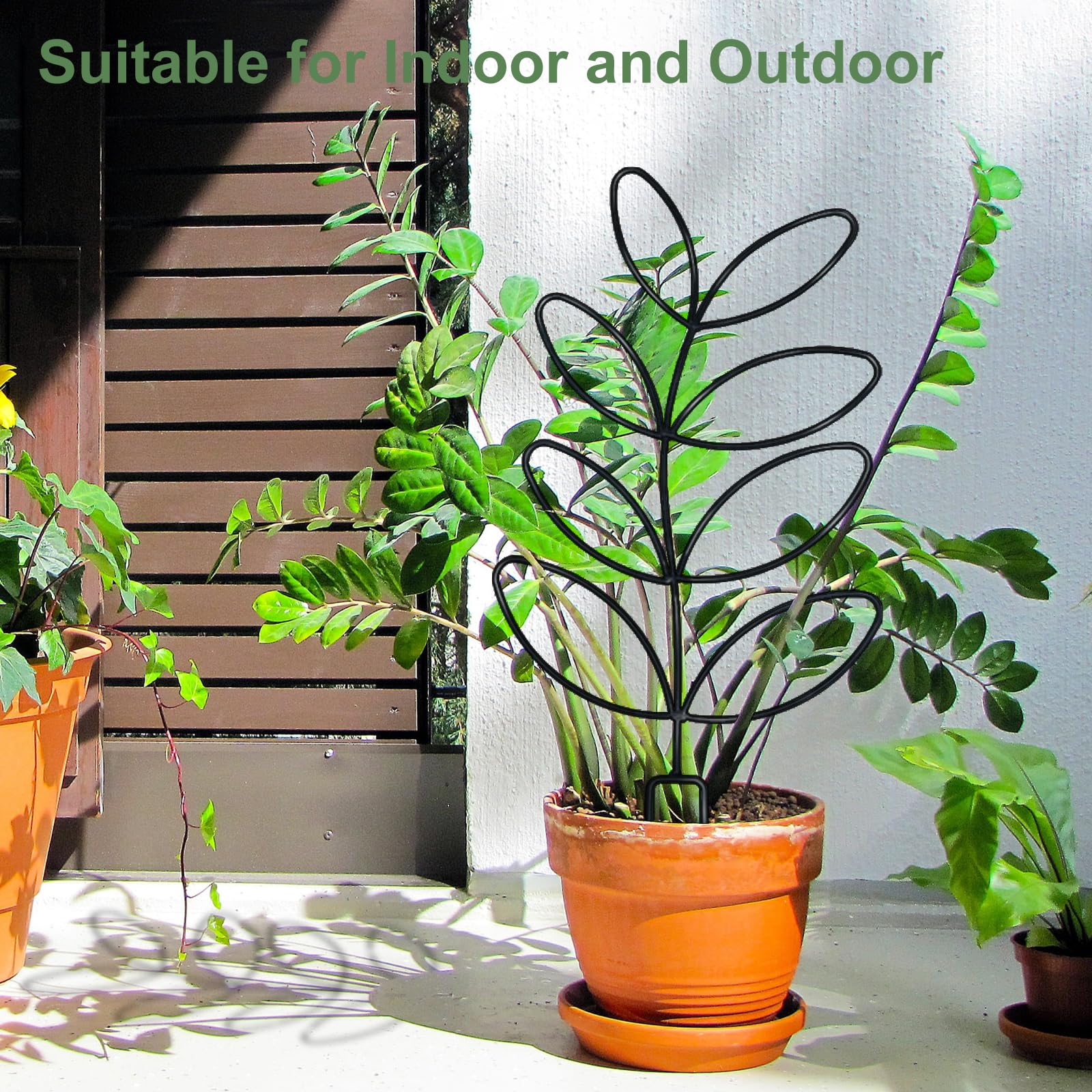 Xeeol included 50 plant ties and accessories for secure, tidy training