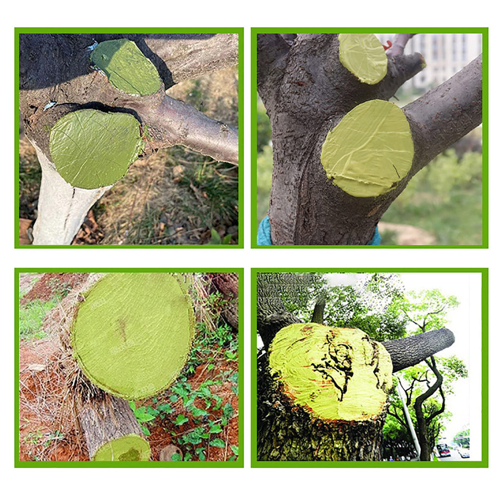 XIRUJNFD jar next to pruning shears showing scale and capacity benefit