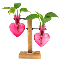 XXXFLOWER front view of pink heart terrarium showing elegant display benefit