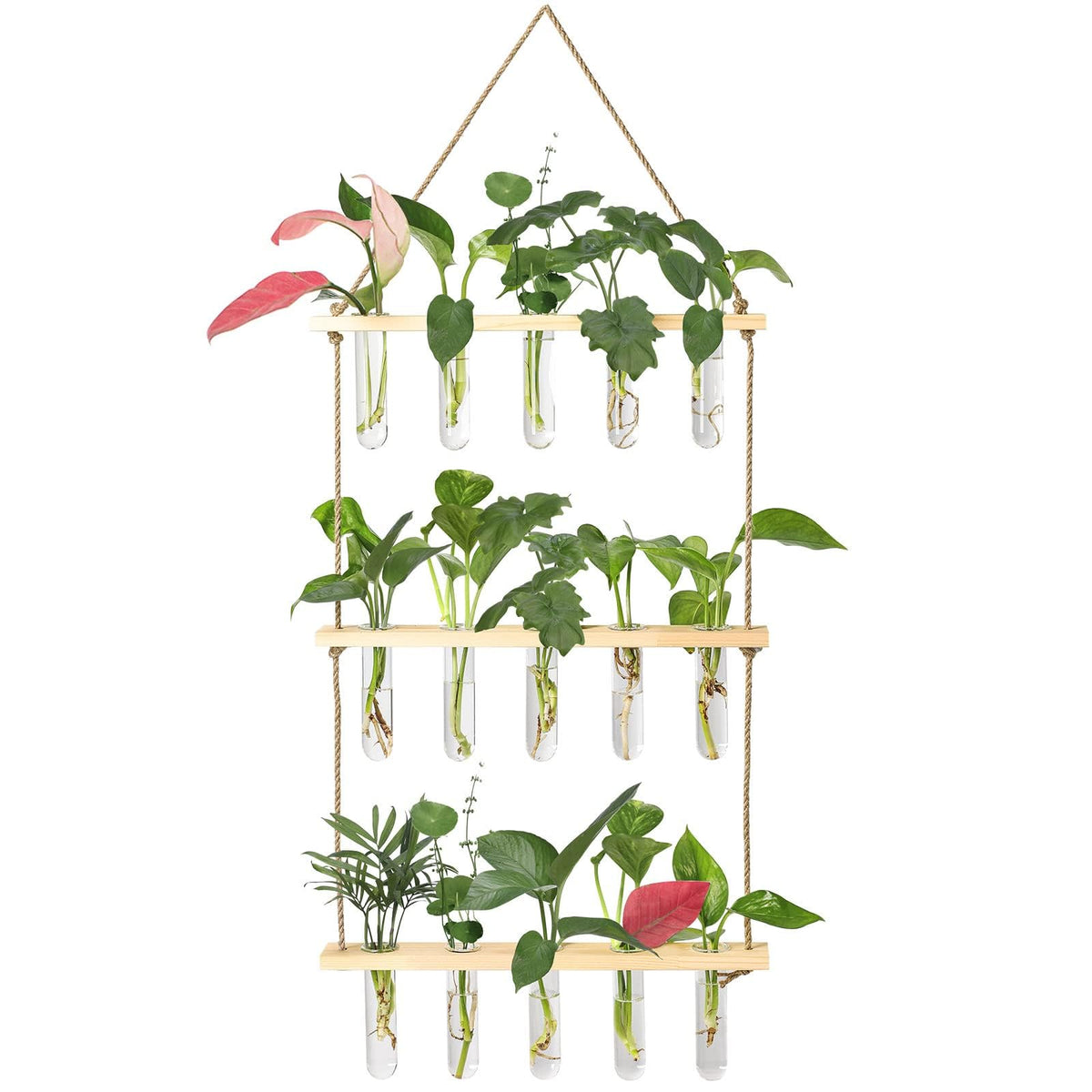 XXXFLOWER front view showing full hanging propagation station and neat display