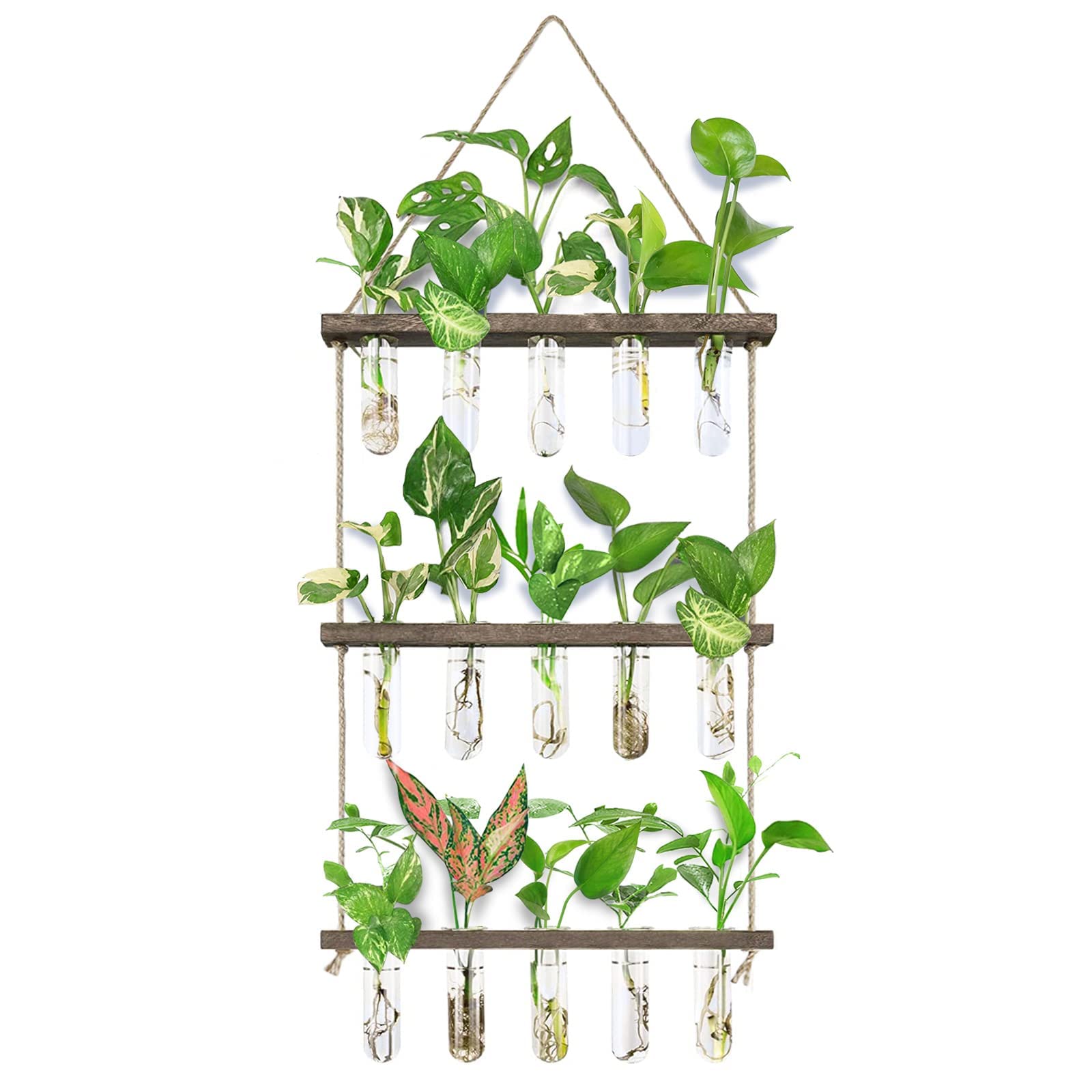 XXXFLOWER front view propagation station showing tidy display and space saving
