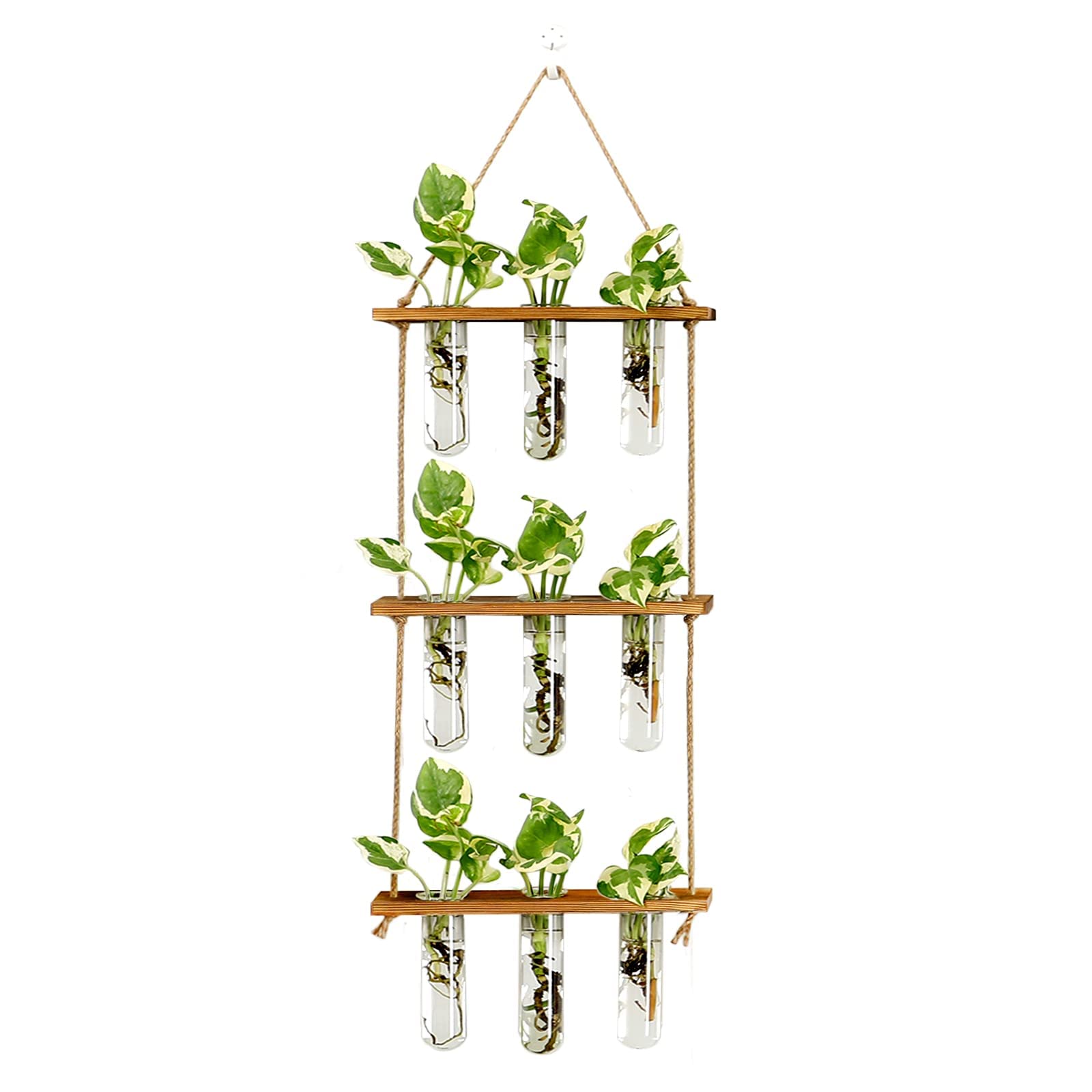 XXXFLOWER front view showing all nine glass tubes and wooden frame, visual organization benefit