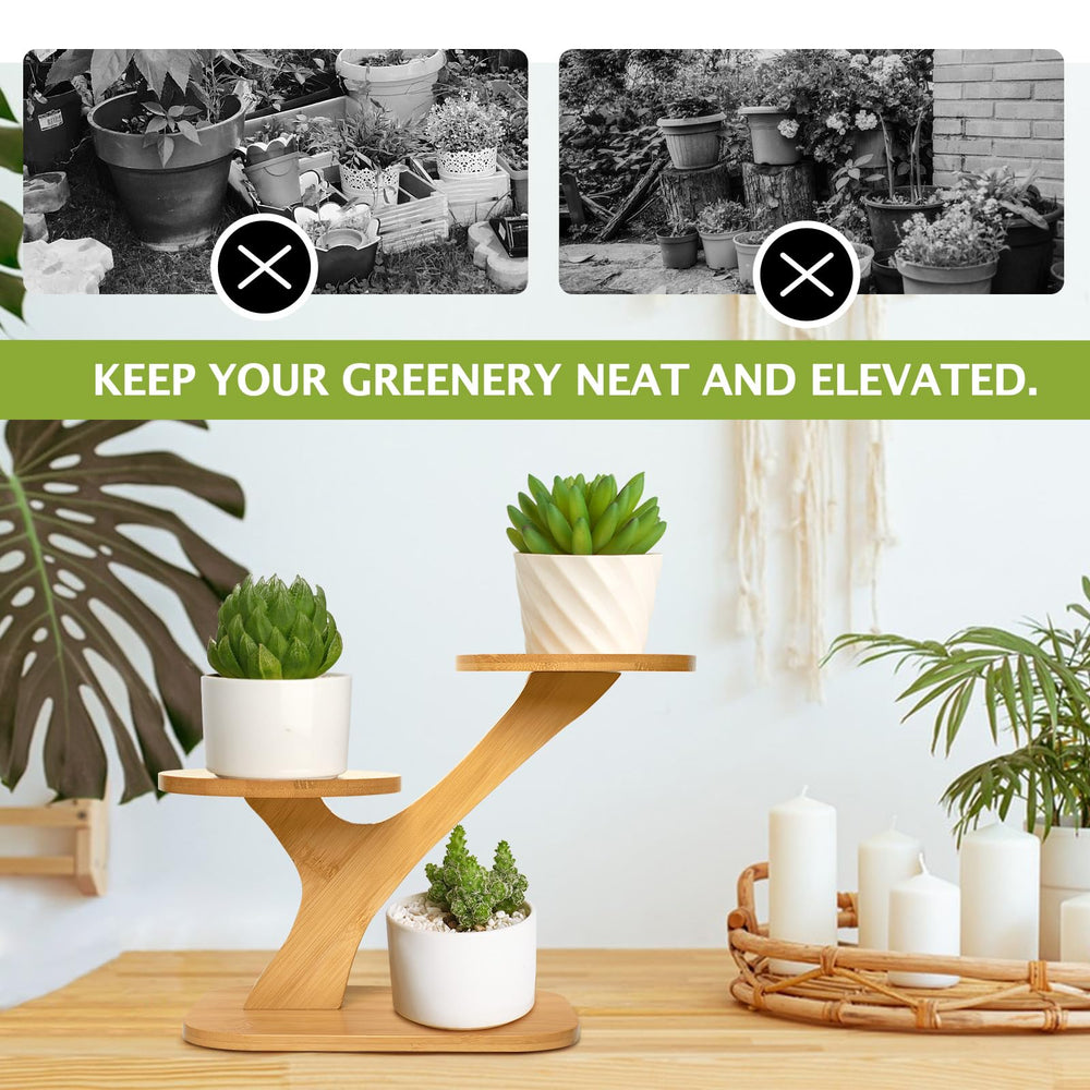 XXXFLOWER styled on a desk with succulents to illustrate decor appeal and compact fit