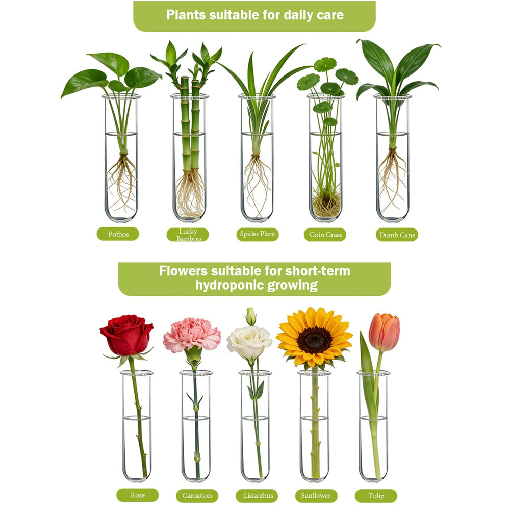 XXXFLOWER size comparison with a hand showing compact vertical footprint