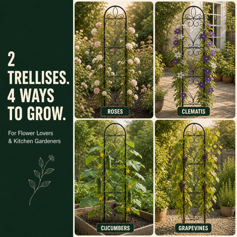 XYCCRX assembled trellis stakes inserted in soil demonstrating simple installation benefit