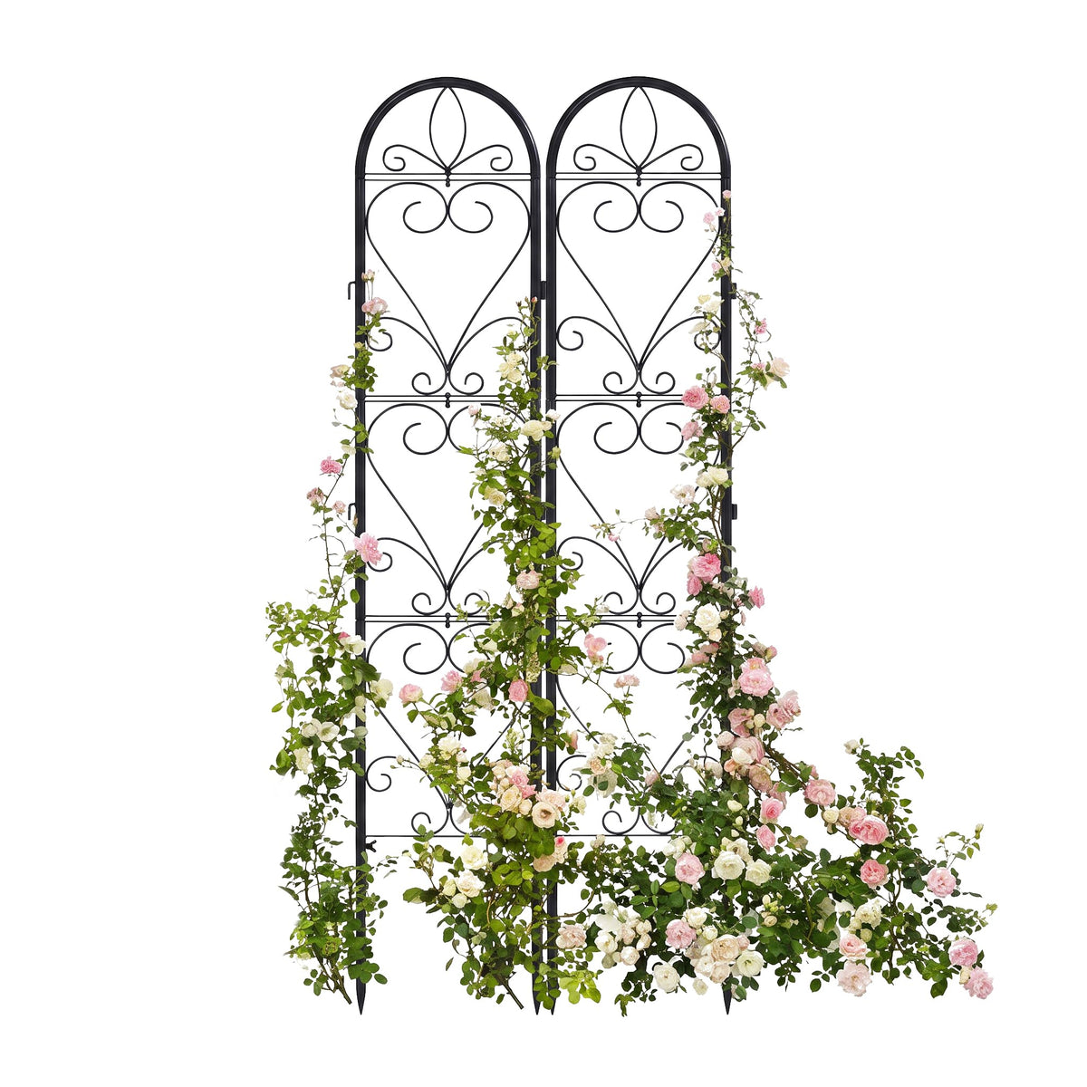 XYCCRX trellis front view showing full panel and decorative look benefit framing plants