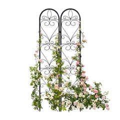 XYCCRX trellis front view showing full panel and decorative look benefit framing plants