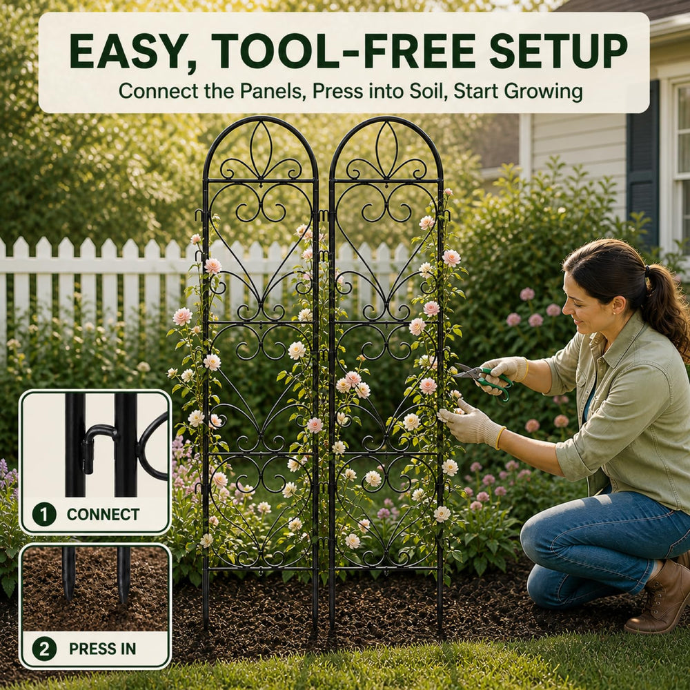 XYCCRX trellis placed in garden bed supporting climbing roses benefit neat vertical growth