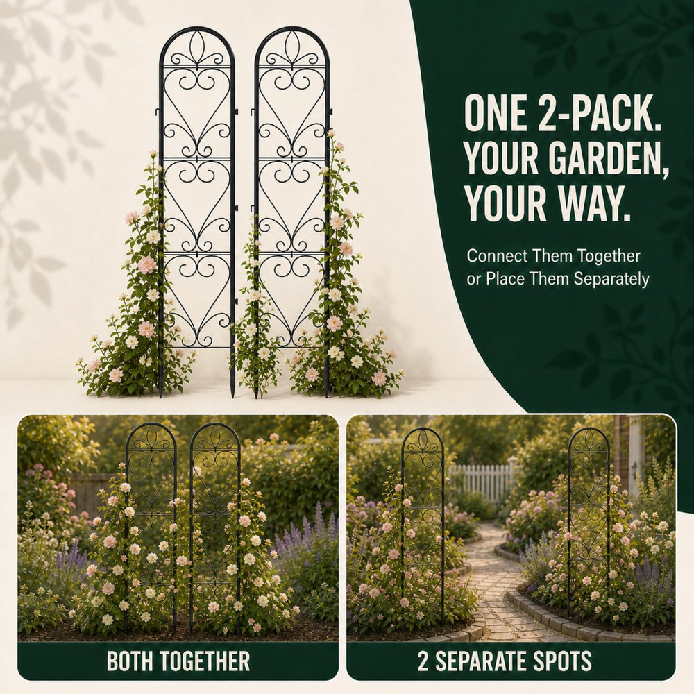 XYCCRX trellis beside a ruler showing 66 x 13 in scale benefit clear sizing