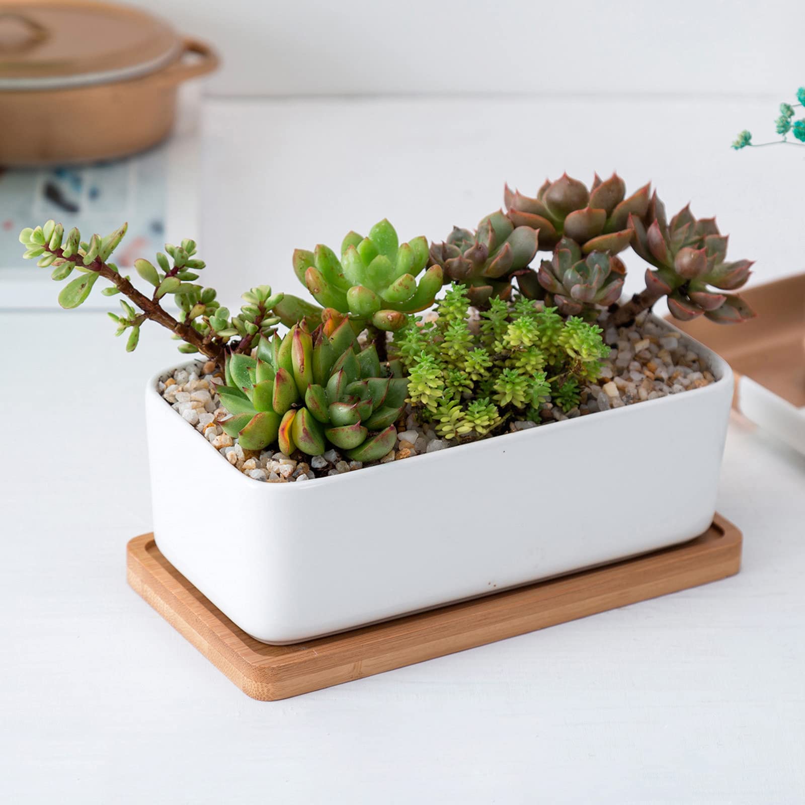 yarlung stack of trays side profile showing slim design and space saving