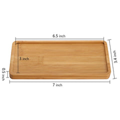 yarlung top view tray with succulent illustrating water protection and neat display