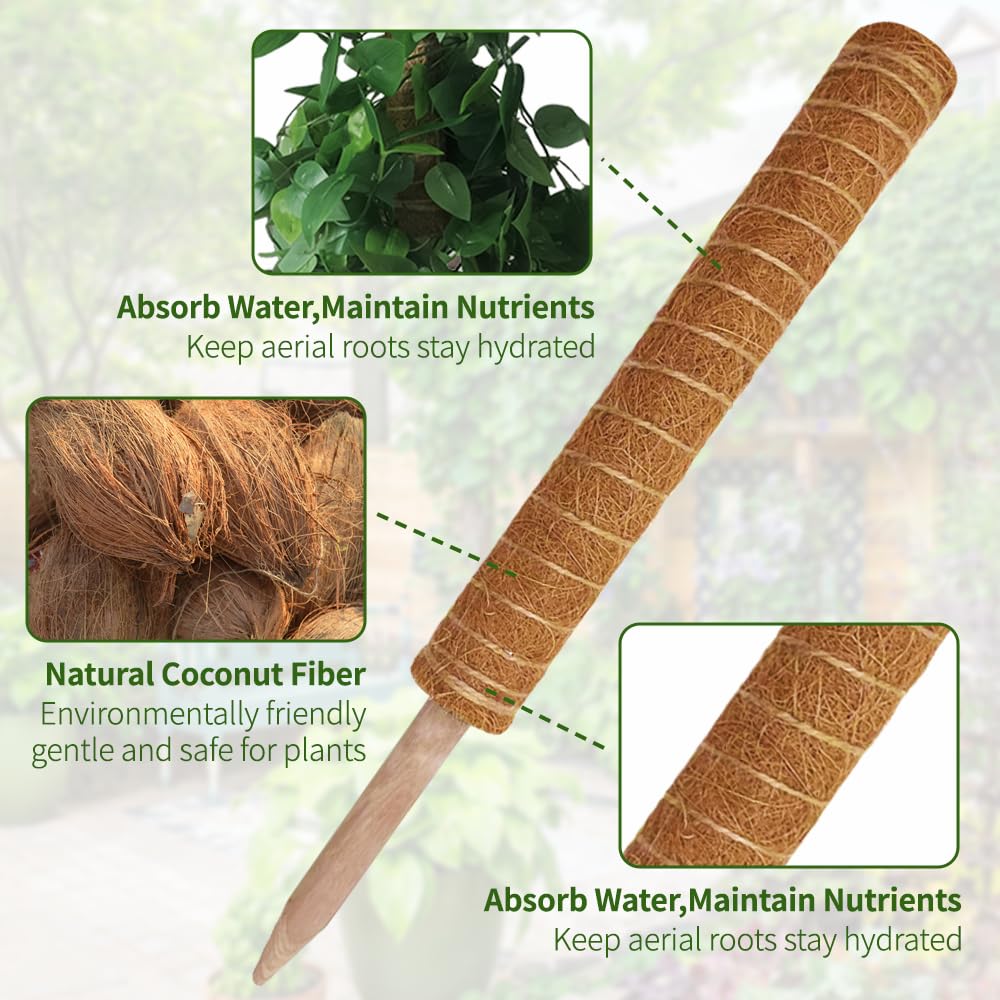 YAWAHOME wooden soil plug inserted into pot securing moss pole upright
