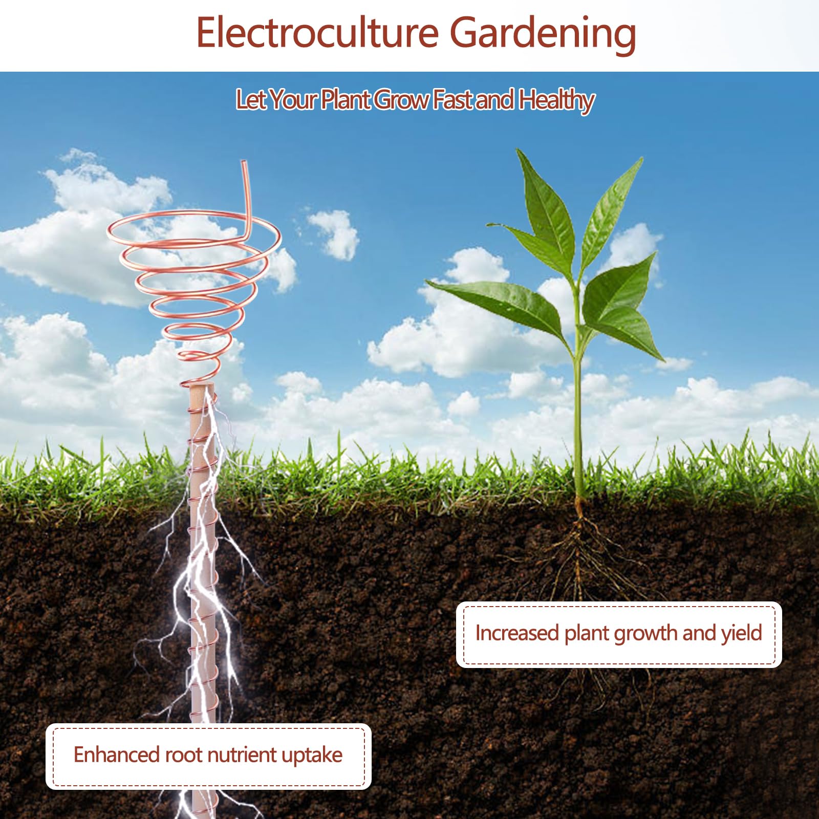 YBB wooden stake with coil installed in a pot for compact garden support benefit