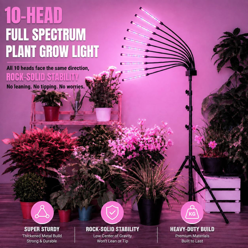 Yehsence close-up of 50-LED lamp head showing concentrated light benefit
