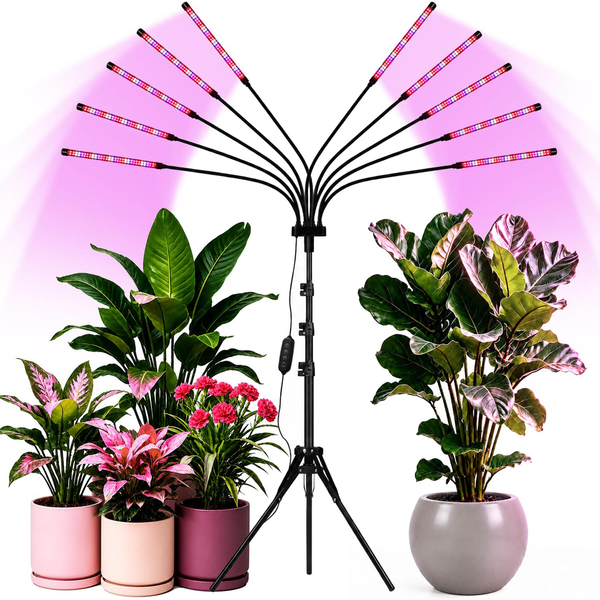 Yehsence front view with tripod showing full product and quick setup benefit