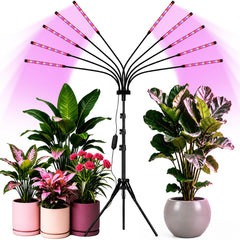 Yehsence front view with tripod showing full product and quick setup benefit