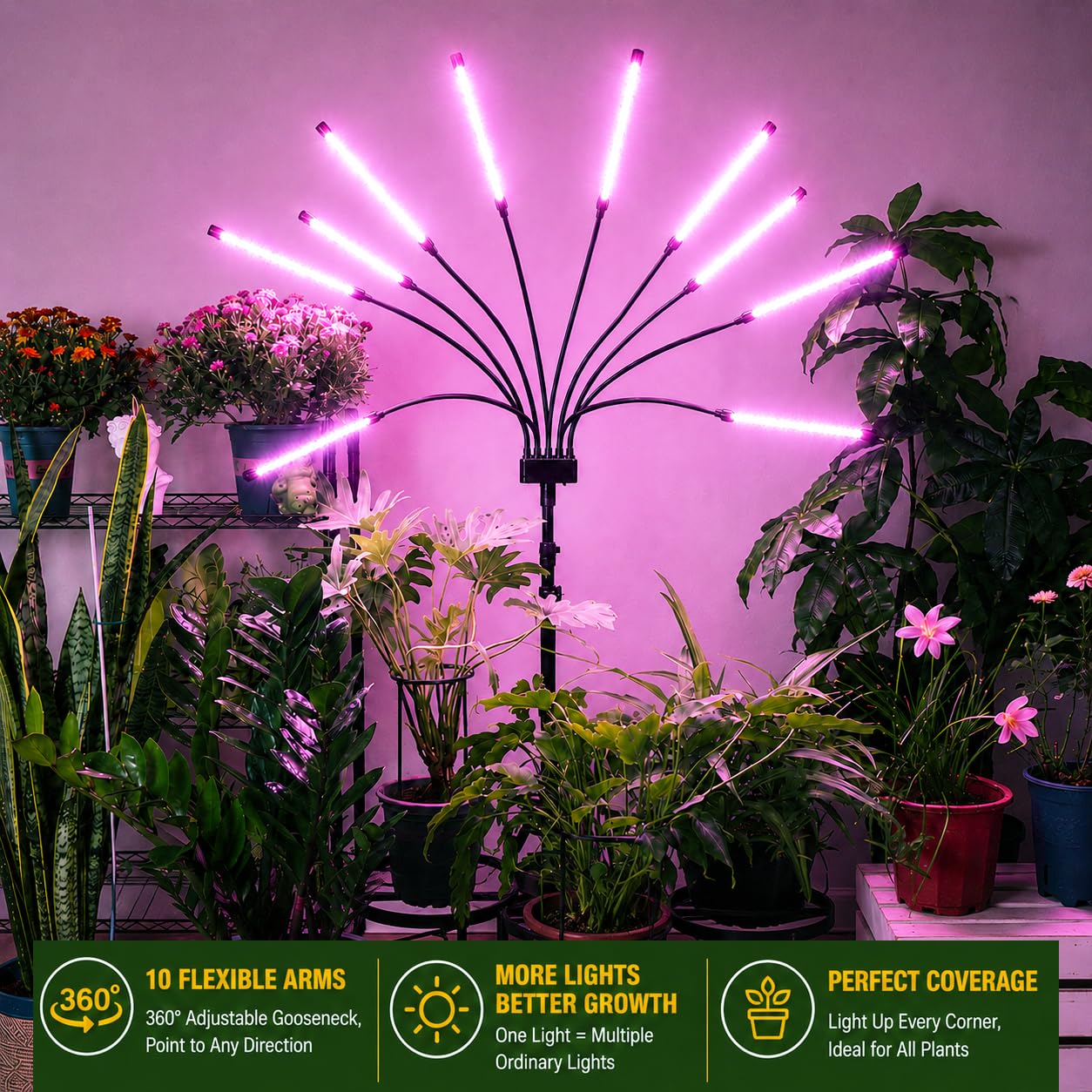 Yehsence next to potted plant for scale showing compact footprint benefit
