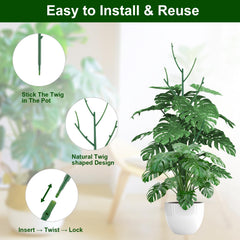 Yhtpouqe plant stakes supporting a monstera indoors for neat training and upright growth