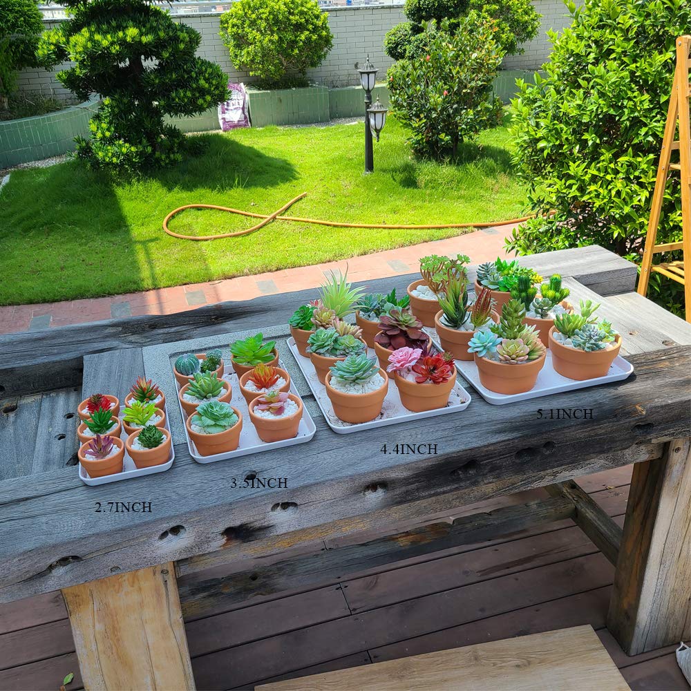 Yishang pots planted with succulents illustrating decorative tabletop display benefit