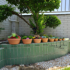 Yishang pot beside a coin to show scale and easy shelf fitting benefit