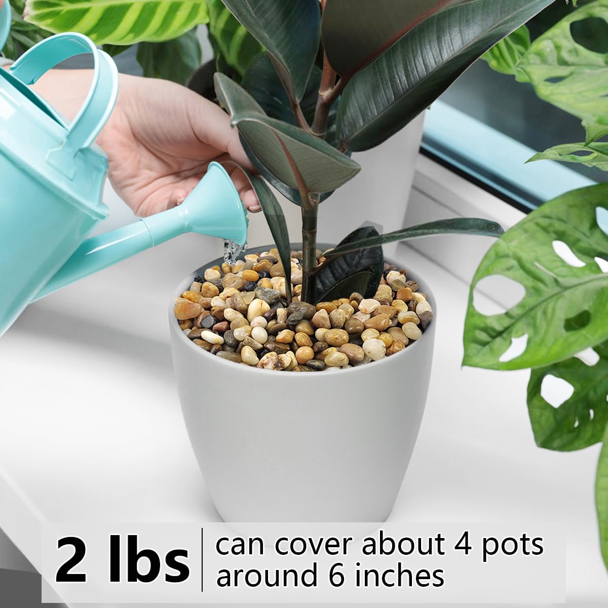 YISZM stones forming a drainage layer in a pot to protect roots