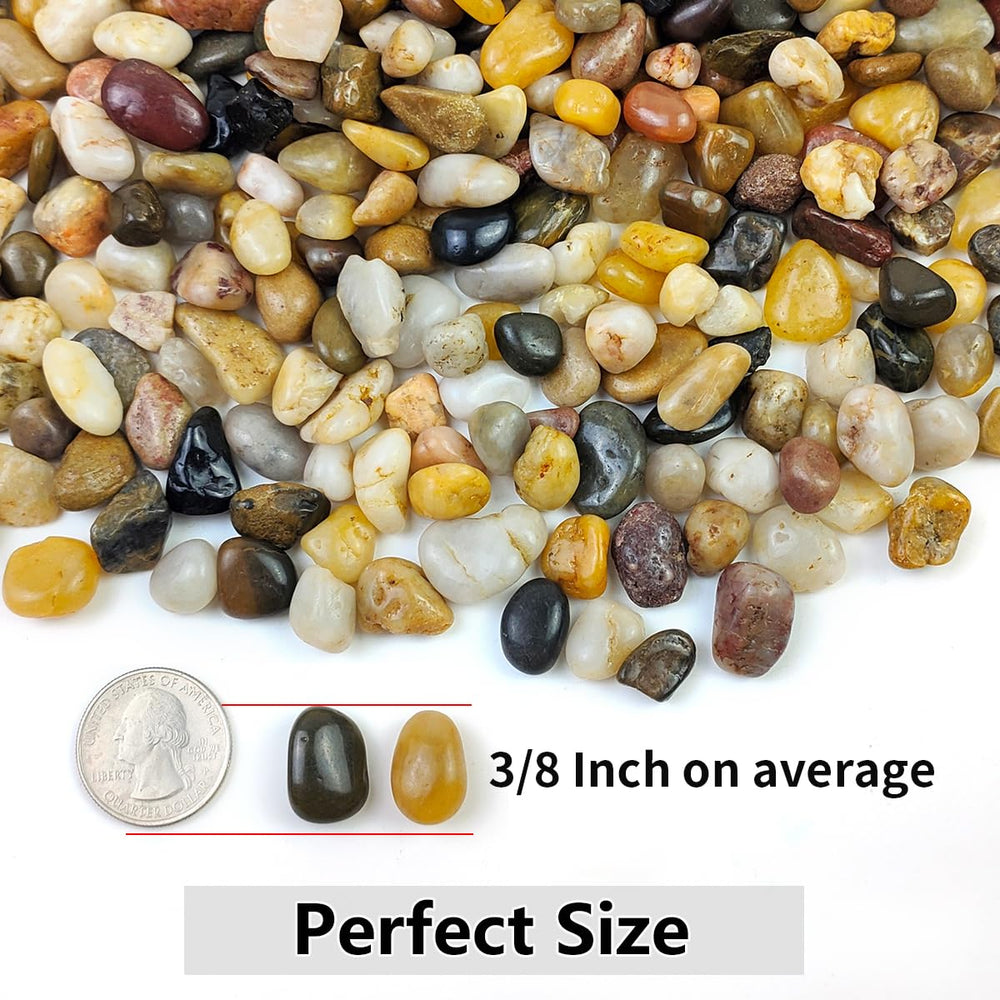 YISZM pebbles used as top-dress on a succulent pot for moisture retention
